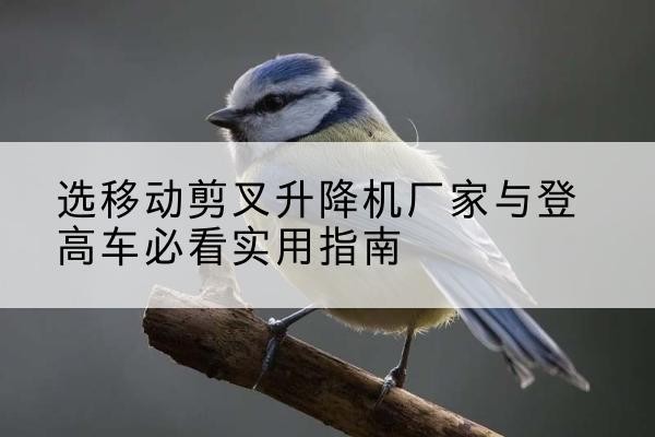 英吉沙电动升降机厂家-选移动剪叉升降机厂家与登高车必看实用指南