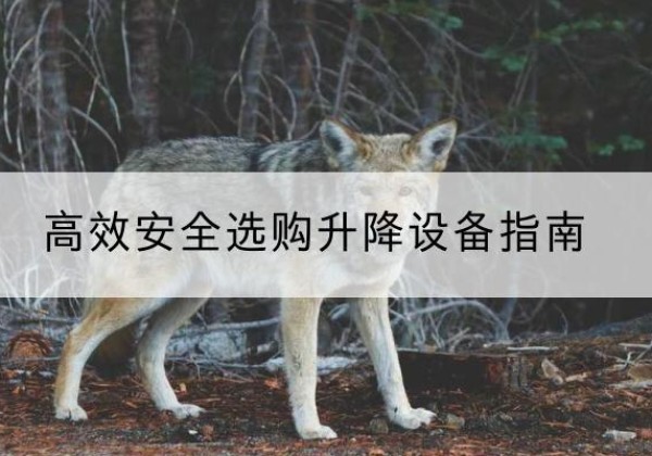 英吉沙升降货梯厂家推荐-*安全选购升降设备指南