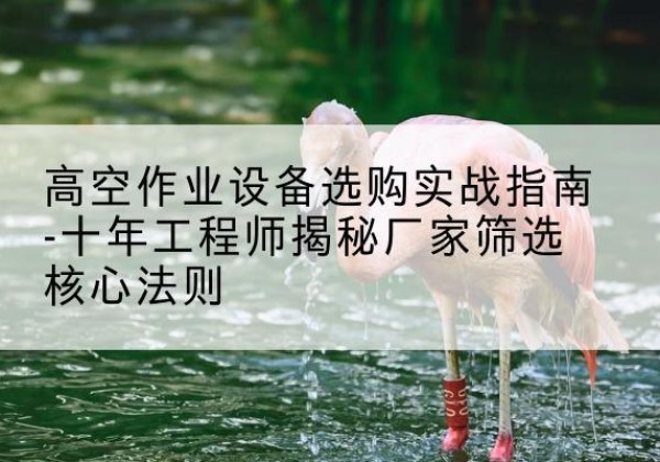 英吉沙剪叉式升降机厂家-高空作业设备选购实战指南-十年工程师揭秘厂家筛选核心法则